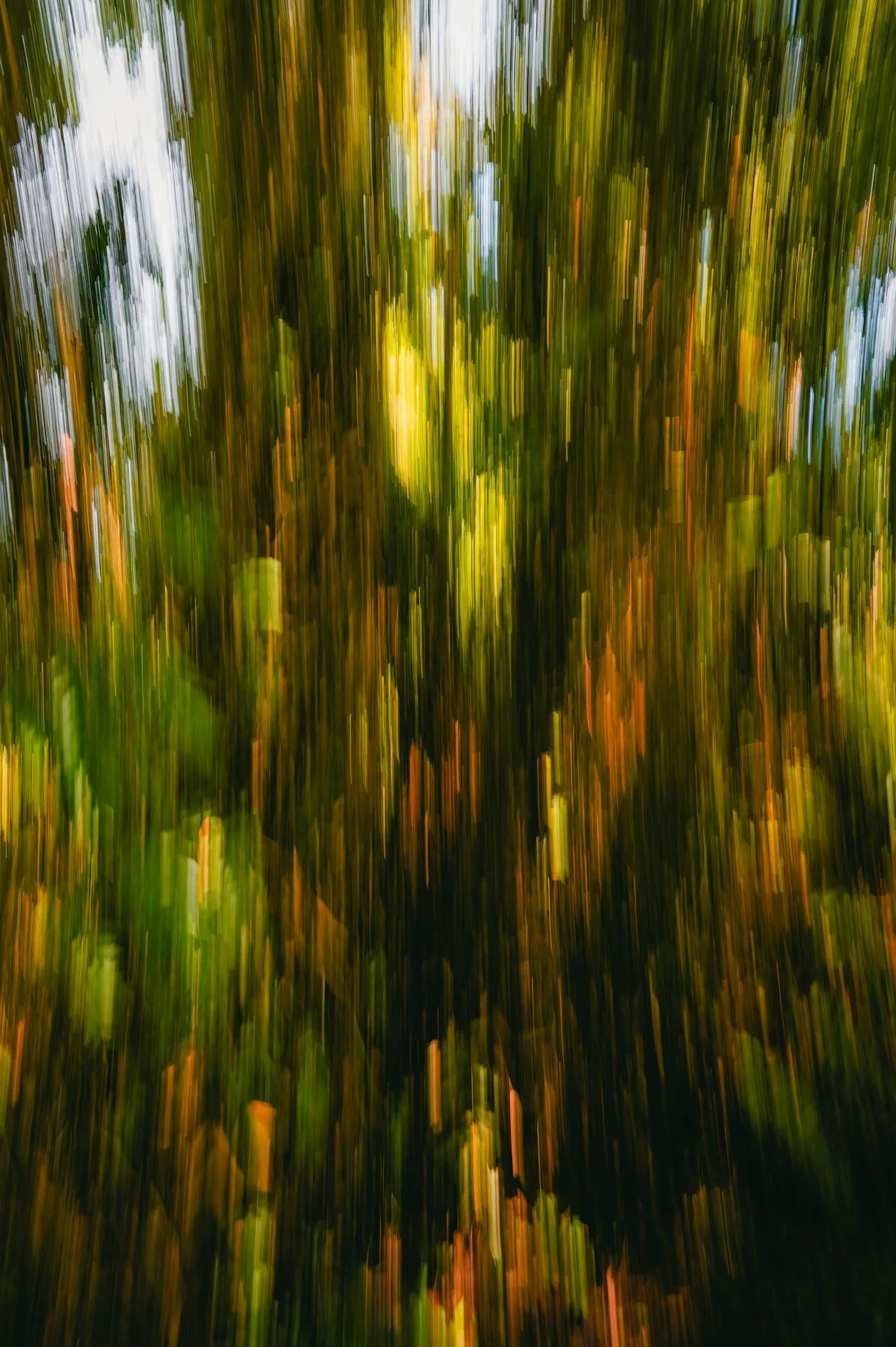 Bloom detail 4